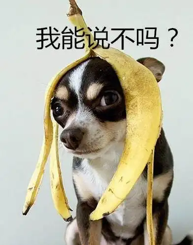  幽默笑话我问我妈,养儿子和养女儿有什么差别