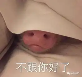  你们一天发800次的表情包网红到底是谁