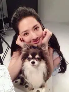  盘点明星与他们的宠物狗狗,第7只让无数网友觉得羡慕嫉妒