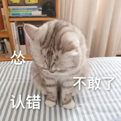  表情包大全谁还不是小天使了