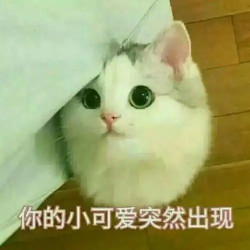  旅行结束了,成了回到笼子里的小鸟知乎