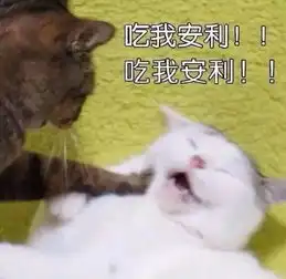  雪莉不穿内衣的原因,竟然只是因为这个