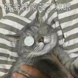 钱治病的表情包头像