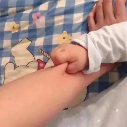  可爱的斗图表情包你的小仙女很乖哦
