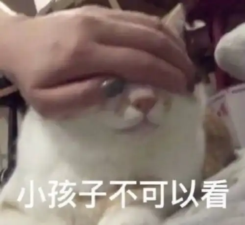  好笑的猫猫表情包哈哈哈哈哈哈哈哈哈笑死我辣