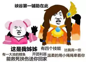  电竞少女必存的100张表情包第六弹