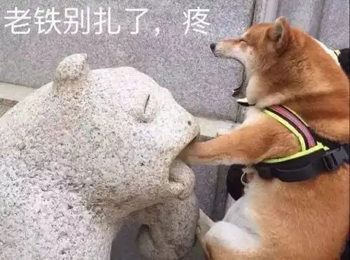  活见久男子用自家母鸡做诱饵偷公鸡