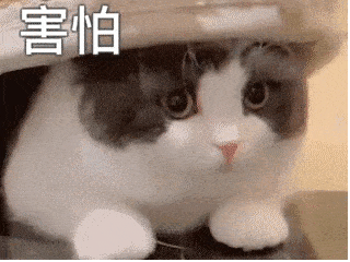  今日份沙雕表情包兄弟,馋了馋了