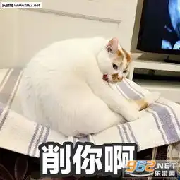  网红猫楼楼经典表情包网红猫楼楼再也没法更新表情包了纪念版下载乐游网游戏下载