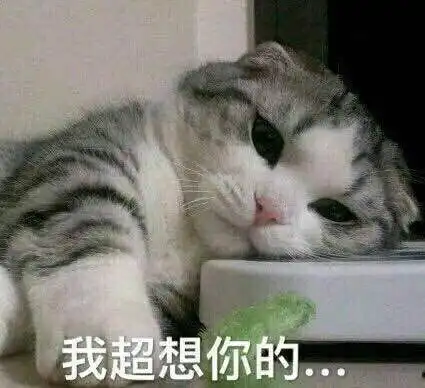  开心一笑高考完填志愿,不知道报南方的大学还是北方的大学好段子