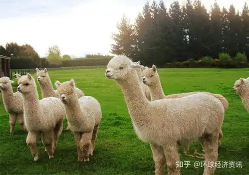  惊艳宜春宜春首座7d玻璃天空之境,10月1日盛大迎客免费领门票啦