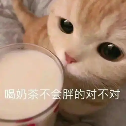  咱就是说,这么好喝的奶茶里面都有什么