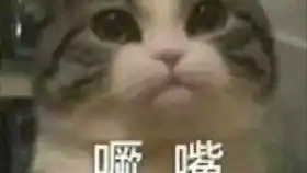 啊表情包出处沙雕