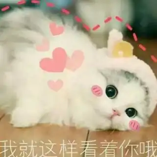  在线收听龙猫果果荔枝