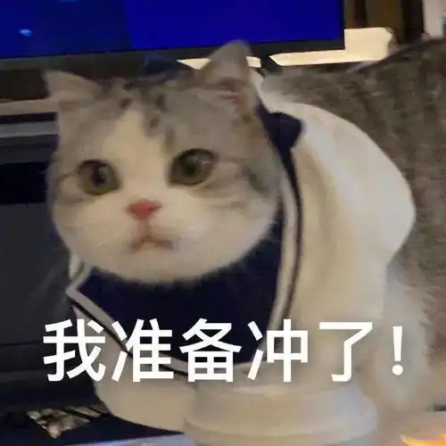  假期拍了拍你切换放假模式