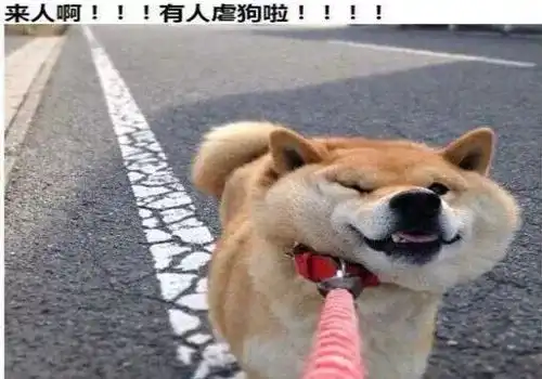 北京城冷气冷风免费大放送10月的气温到底有多变态
