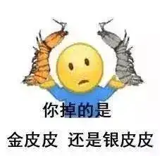  红极一时的鹦鹉兄弟已失宠表情包新宠皮皮虾横空出世