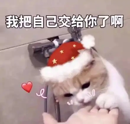 脱粉表情包圣诞礼物