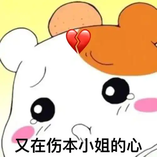  表情包丸子妹看透一切