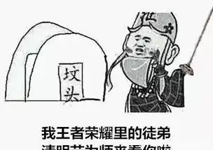 王者荣耀讨皮肤表情包清