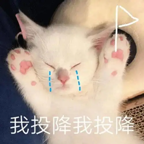  萌宠表情包你看起来真开心,我发4
