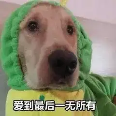  请暂停一下,我是来提醒你在继续冲浪前请连上家里的wifi,而不是用蜂窝数据连上前请wifi表情