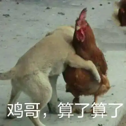  没有人能逃过一份大盘鸡,我说的