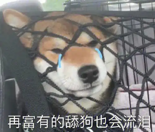 舔狗图片表情包表弟