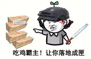  吃鸡高手仅凭飞机航线,就能判断能否吃鸡,网友你是咋做到的