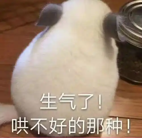  千万不要得罪婚纱摄影师这些偷拍照看完你会哭...笑不得