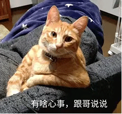  台风来了有影响吗还有沙尘暴,接下来......
