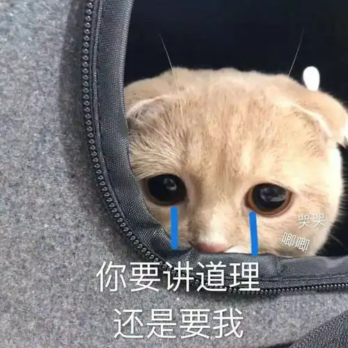  团结竞攀,薪火相传你好,学代会