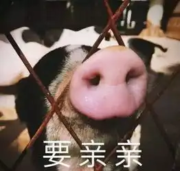 拜托表情包图片微信猪猪