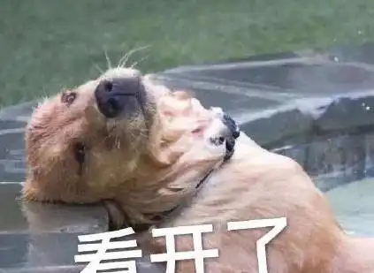  撒野站姐上热搜,三方粉丝混战开撕,评论区热闹了