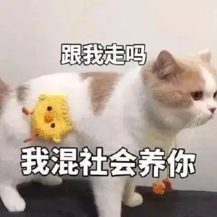  看完三十而已大家居然