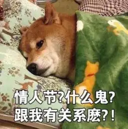  可爱玻尿酸小黄鸭七夕聊天表情包单身小黄鸭七夕聊天表情包