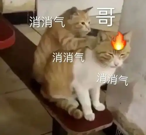  答应我,不要再买这种网红猫包了