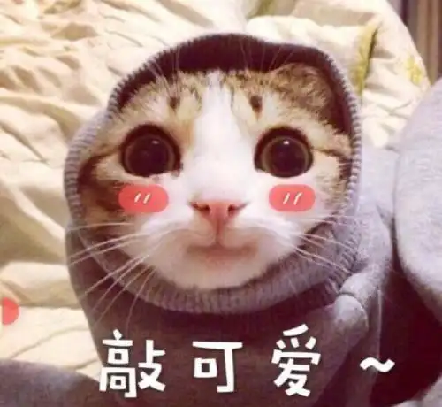  路人镜头下的张艺兴脸小皮肤白在太阳底下整个脸都泛着光