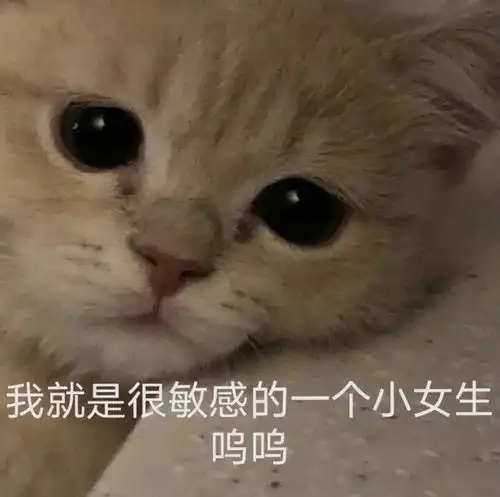  恋爱