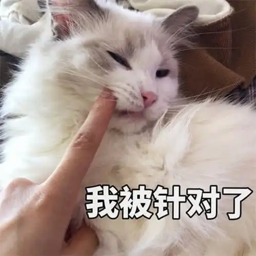  表情小奶猫也穿jk制服表情包今晚蹦迪吗我已经ready表情