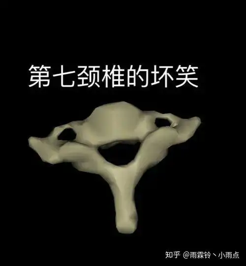  有没有专用于特定领域的表情包