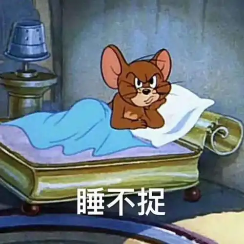 熬夜刷抖音表情包猫和老