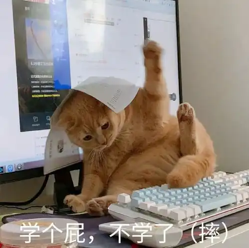  快来领取一学就会的期末考开挂指南吧