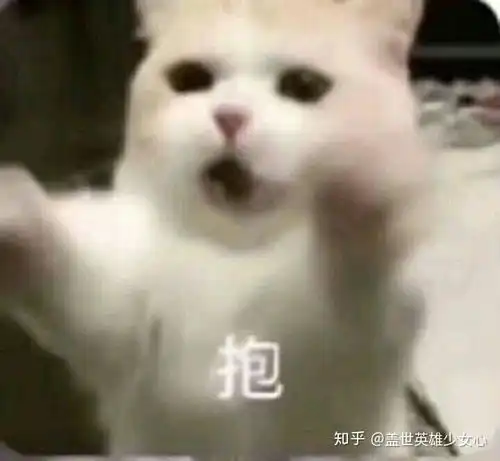  有哪些适用于和男盆友日常聊天撒娇的表情包