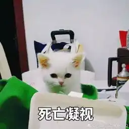  2个赞58月雅思口语最全题库高分素材