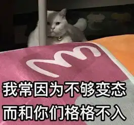  今日热门无水印表情包40张