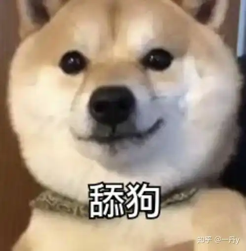  令人窒息的舔狗文案