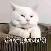  一条全是小猫咪的表情包保证看完每张都想保存