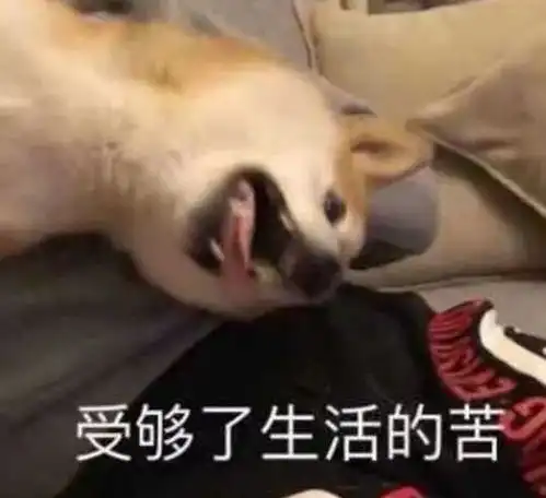  玉环囡头后生,你被催婚了吗想不到爸妈催婚的理由竟然是