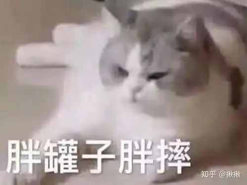  女生,见一个爱一个怎么办啊啊啊啊